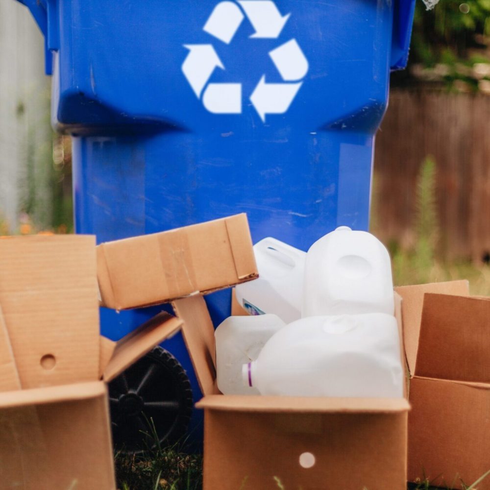 cardboard-boxes-and-plastic-bottles-next-to-blue-r-2024-11-01-02-33-05-utc
