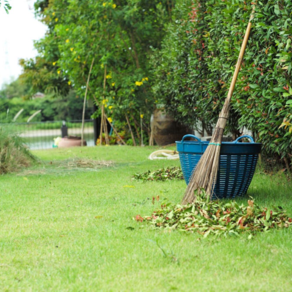 gardening-work-at-the-backyard-of-house-2024-11-27-18-29-22-utc